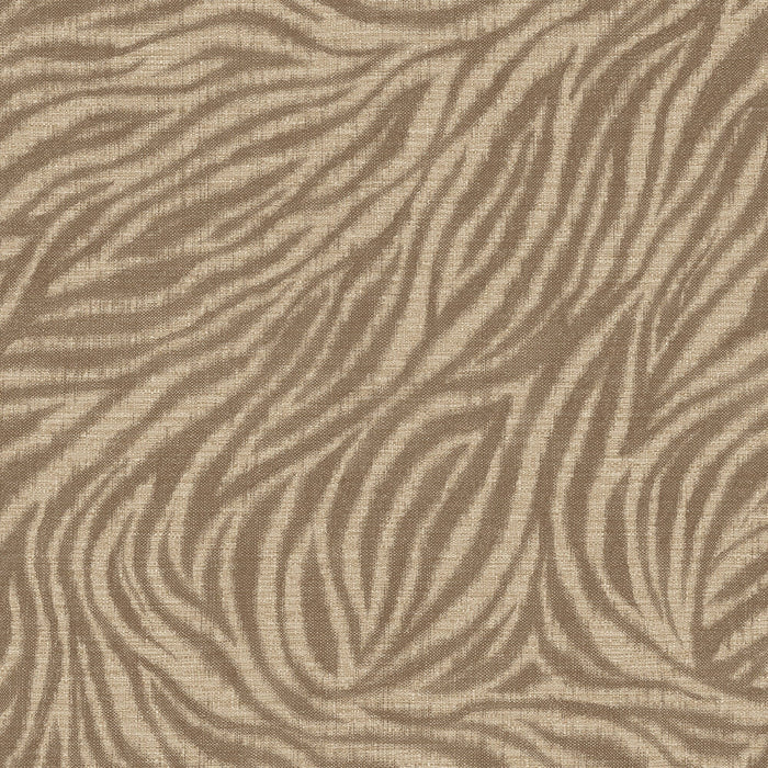 Bara Brown Zebra Print Wallpaper Home Improvement