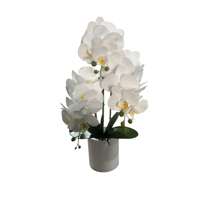 Faux White Orchid in Ceramic Pot Accessories