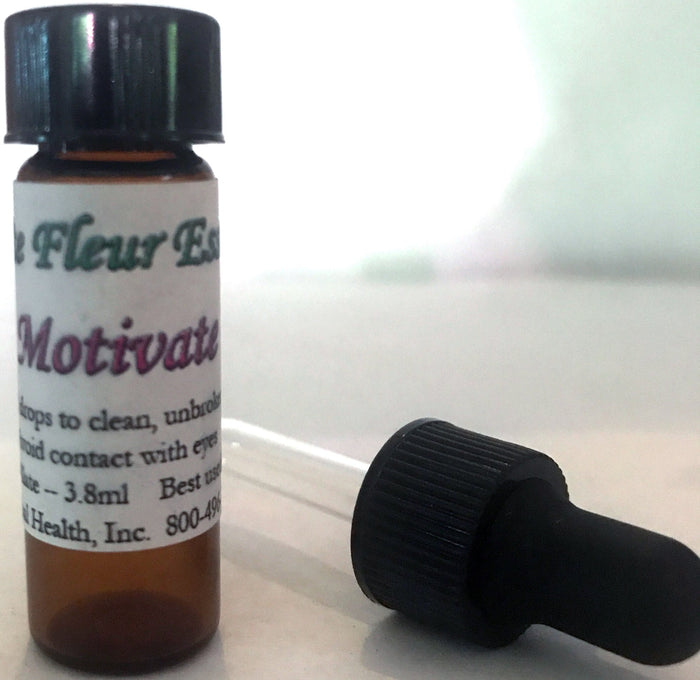Motivate (Tangerine)