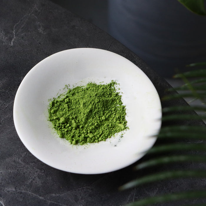 WHOLESALE Yunomi Matcha: Naturally Grown - Kodama - Standard Ceremonial Grade on a plate yunomi.life