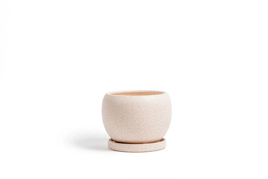 12" Bollè Planter