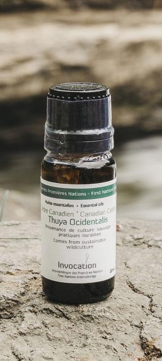 Canadian Cedar Essential Oil - 10 ml