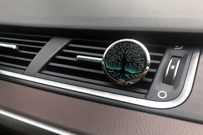 Car Diffuser Kit - Dragonfly - 30mm 🇬🇧