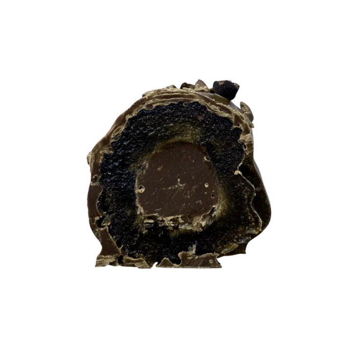 Cool Medjool Dates Twin Pack - Double Chocolate