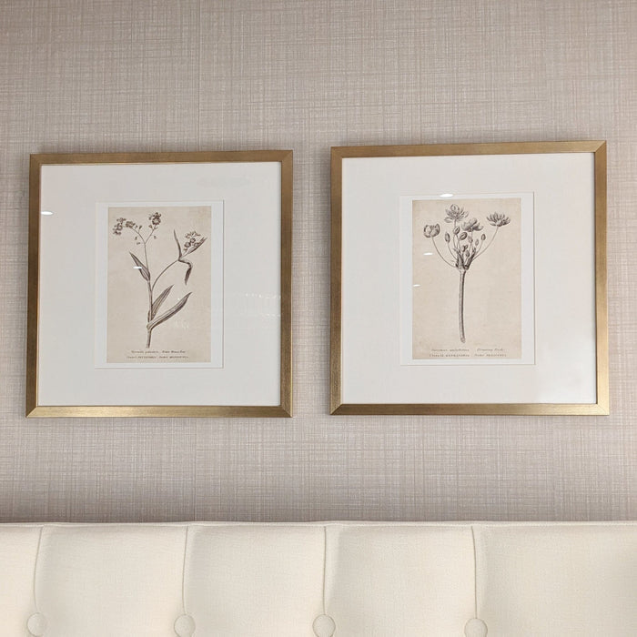 Diana Gold Framed Neutral Flower Wall Art - II Accessories