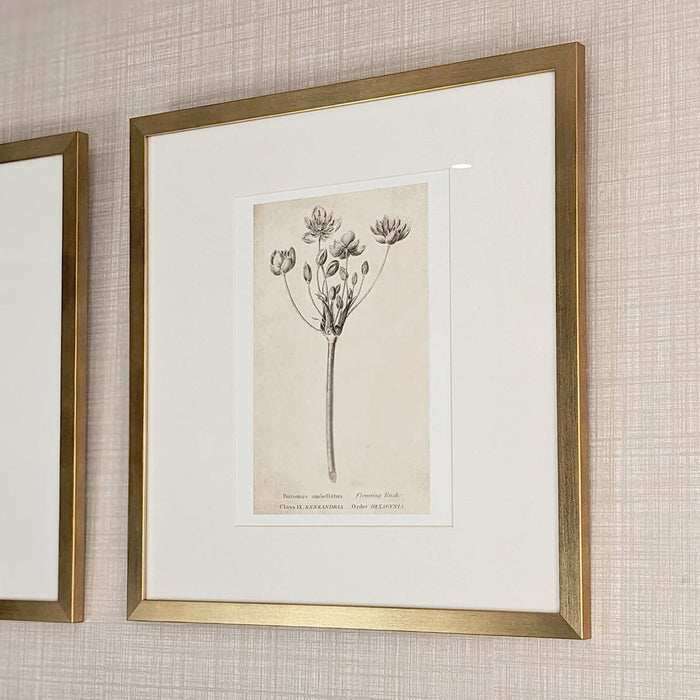 Diana Gold Framed Neutral Flower Wall Art - II Accessories