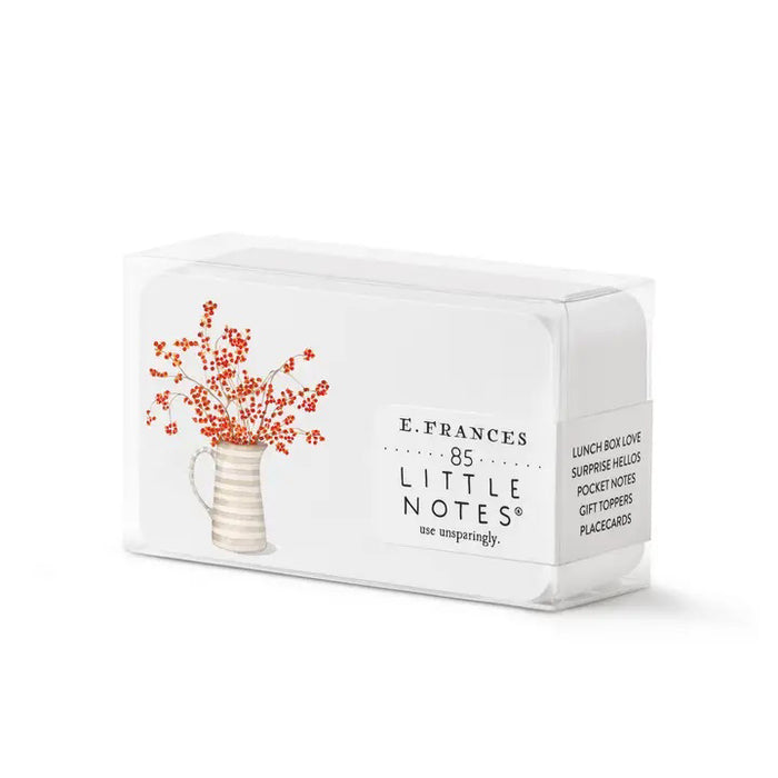 The E. FRANCES PAPER - LITTLE NOTES AUTUMN BERRY PITCHER set features 85 mini notecards in a clear box, each showing a beige striped vase with red-orange berries—ideal fall stationery for lunch boxes or gift toppers.