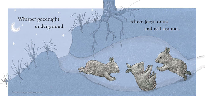 Goodnight, Joeys - Board Book
