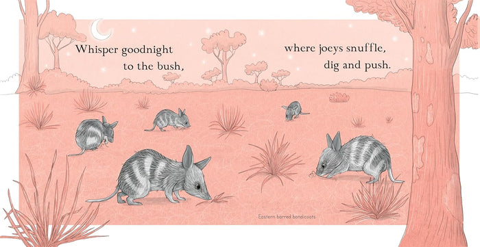 Goodnight, Joeys - Board Book