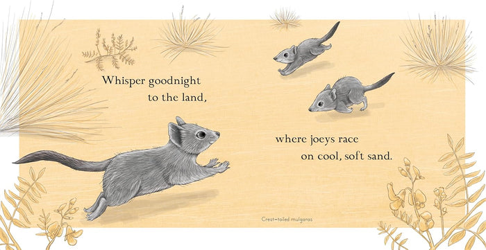 Goodnight, Joeys - Board Book