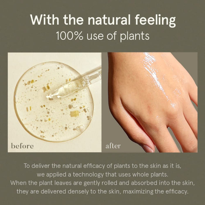 Green Tea Serum - Korean-Skincare