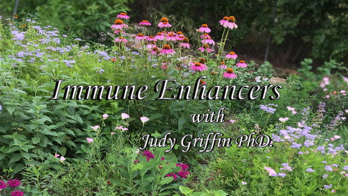 Immune Enhancers downloadable PDF course