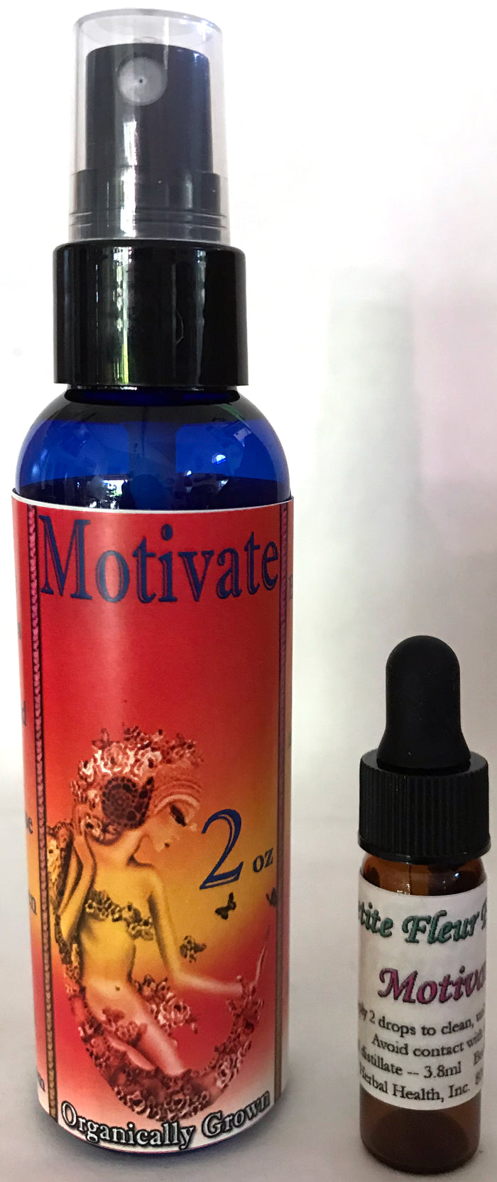 Motivate (Tangerine)