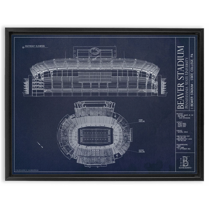 Framed Canvas - Large - Black