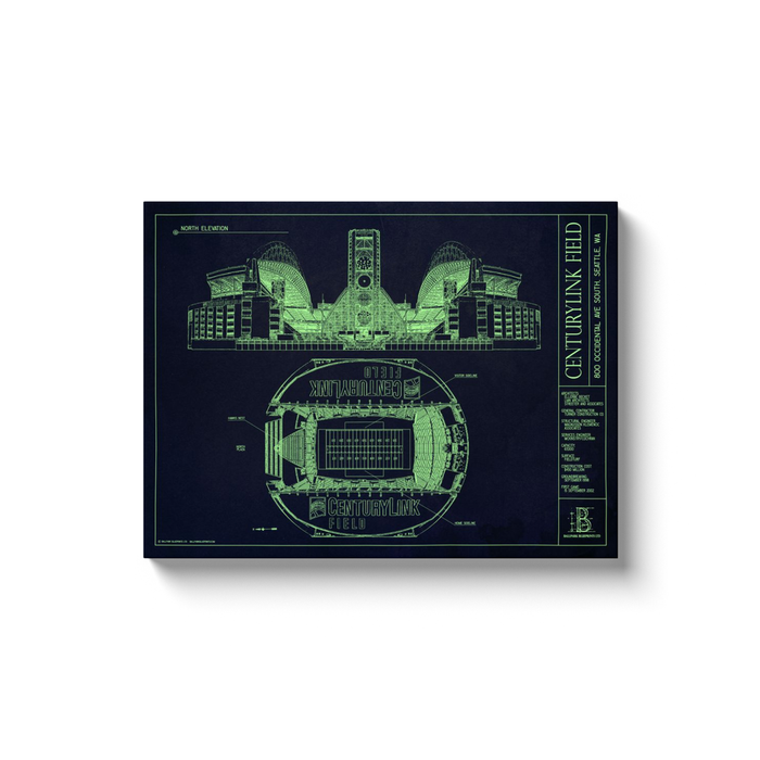 Seattle Seahawks - Centurylink Field - Team Colors - 18x24" Canvas