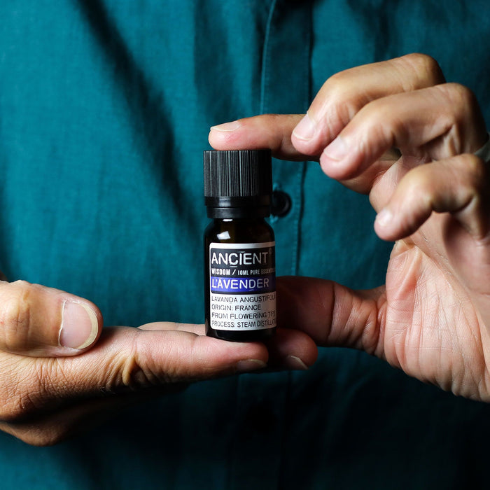 Set of Lavender, Tea Tree & Rosemary Essential Oils - 10ml Each 🇬🇧