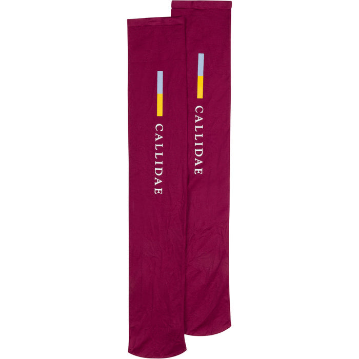 The Logo Sock