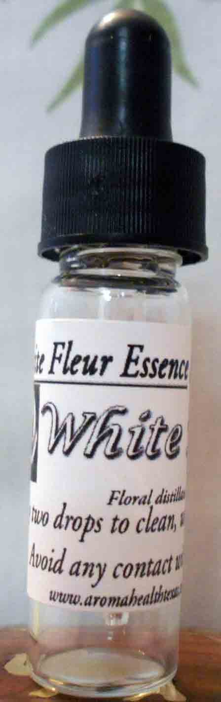 White Rose, Floribunda, Flower Essence